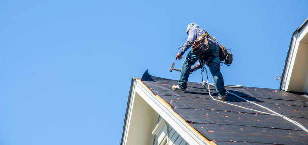 Best Roof Gutter Cleaning  in Harrogate, TN